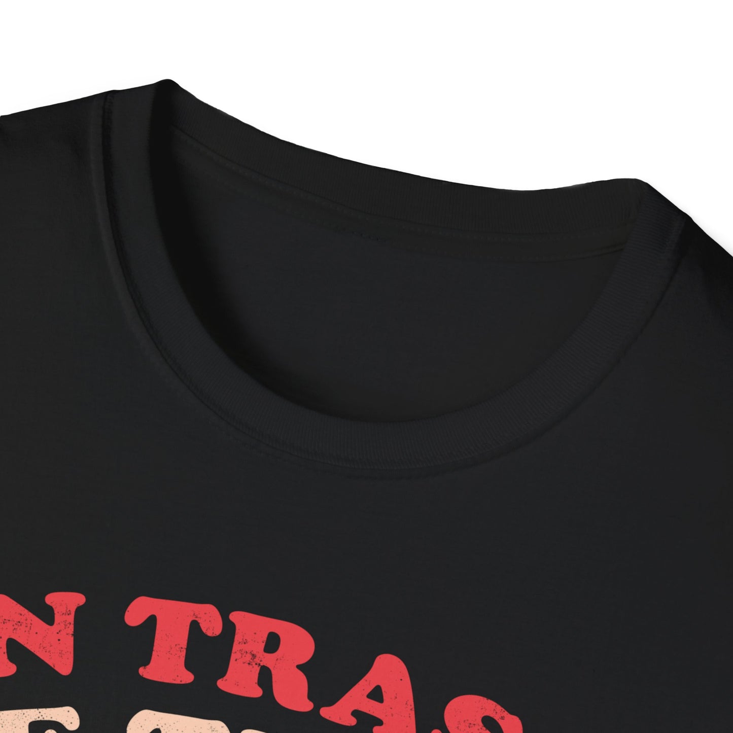 In Trash We Trust — Funny Evil Raccoon T-Shirt