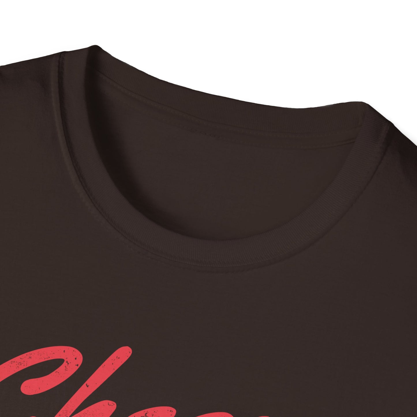 Cheers to My Crappy Future – Funny Beer Skeleton T-Shirt